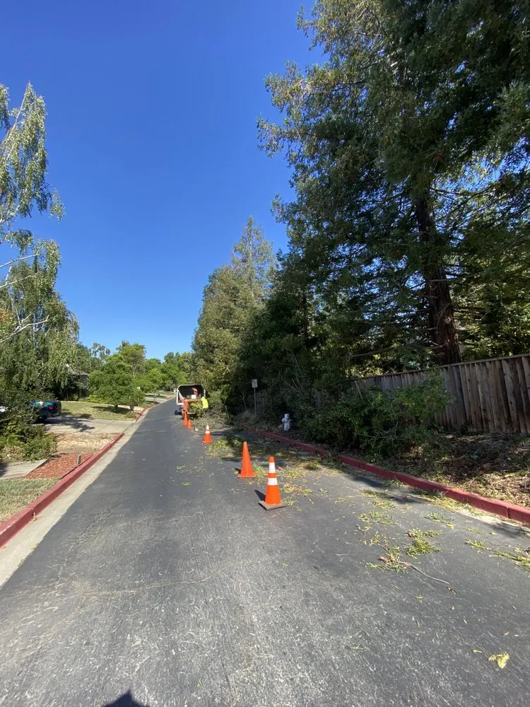 Professional yard maintenance for beautiful yards across Richmond, CA - J B S Landscaping and Tree Services