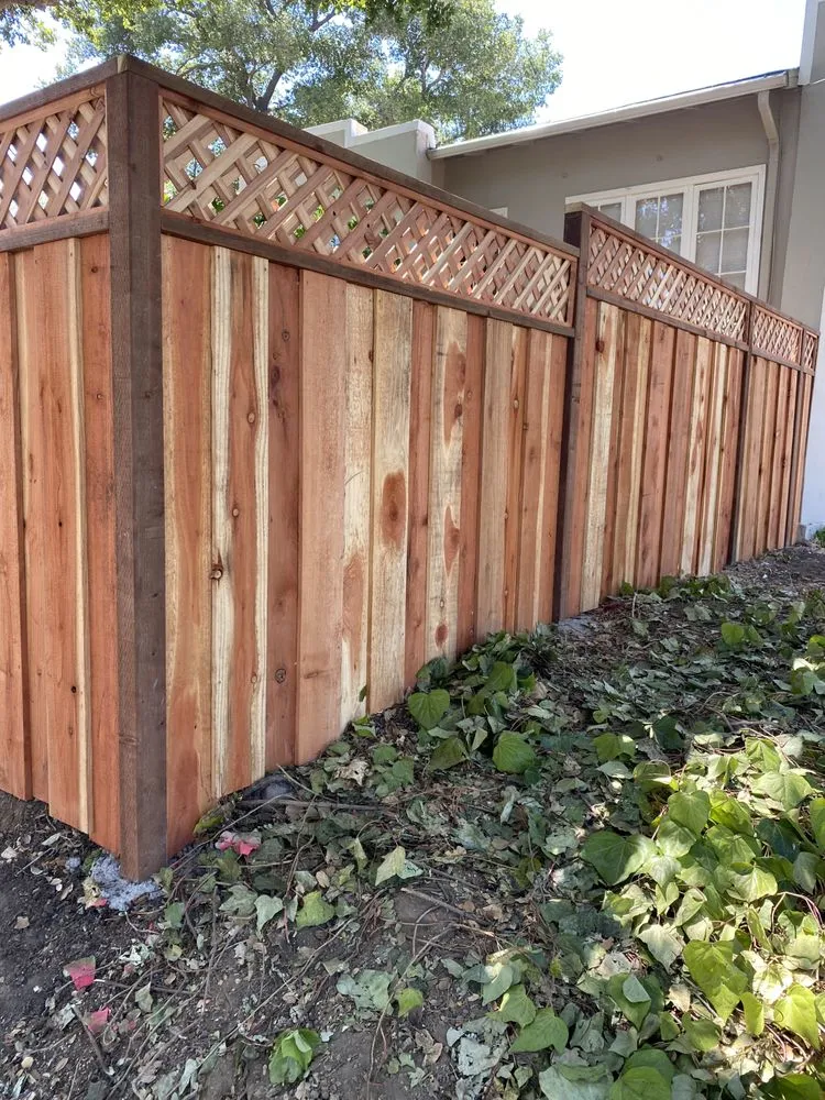 Professional yard maintenance in Richmond, CA - J B S Landscaping and Tree Services