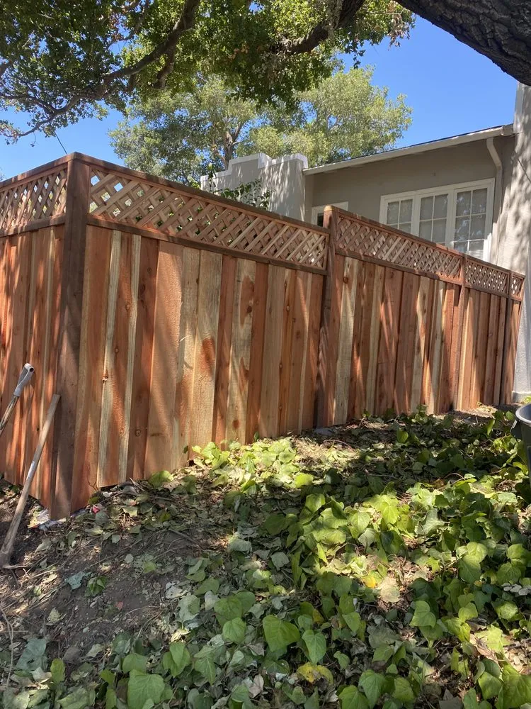 Local landscaping services in Richmond, CA by J B S Landscaping and Tree Services