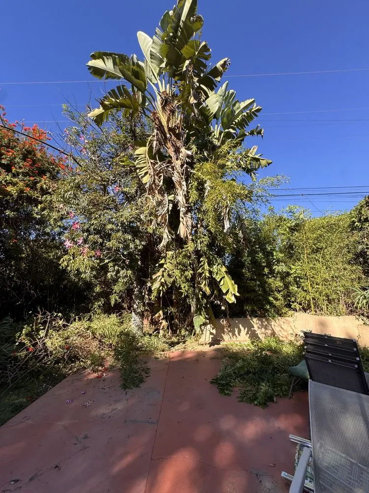 Custom landscaping services for homes across Artesia, CA - J B Sanchez Landscaping