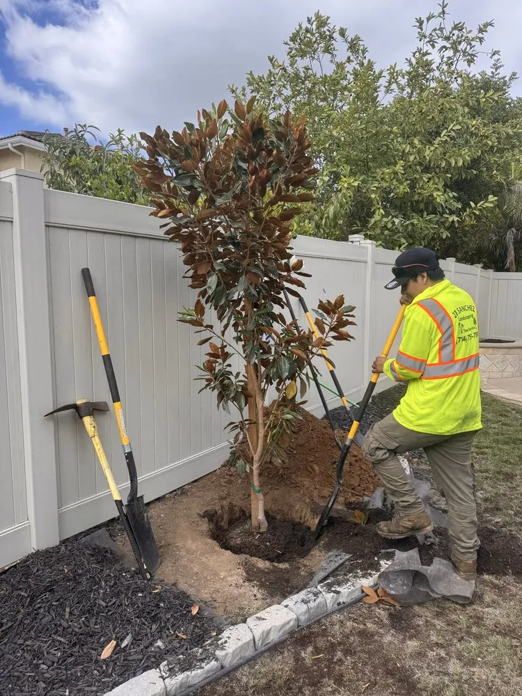 Local landscape installation for year-round maintenance across Artesia, CA - J B Sanchez Landscaping