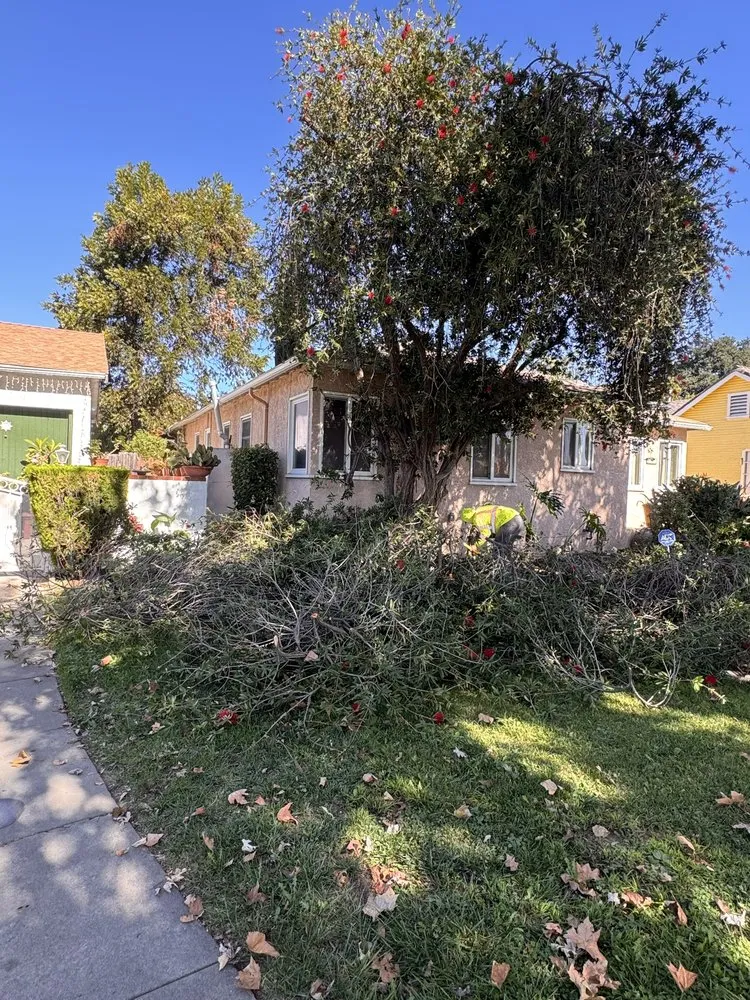 Custom landscape design in Artesia, CA by J B Sanchez Landscaping