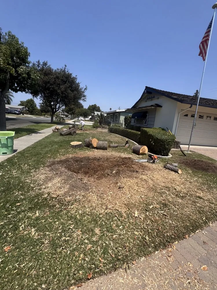 Affordable outdoor landscaping for homes in Artesia, CA by J B Sanchez Landscaping