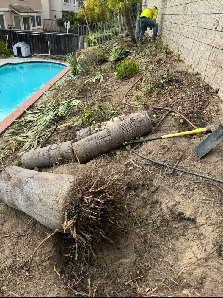 Trusted landscape installation in Artesia, CA - J B Sanchez Landscaping