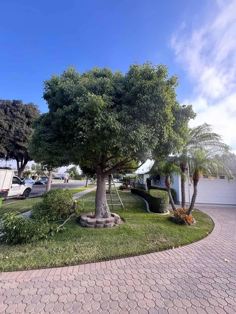 Professional residential landscaping near you in Artesia, CA by J B Sanchez Landscaping