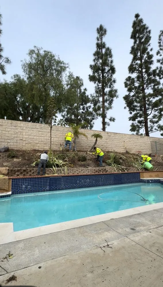 Affordable landscaping services in Artesia, CA - J B Sanchez Landscaping