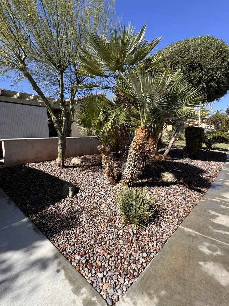 Expert yard maintenance experts serving Artesia, CA - J B Sanchez Landscaping