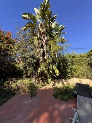 J B Sanchez Landscaping