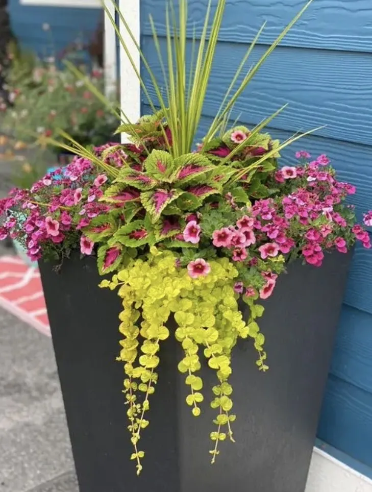 Professional lawn care service for beautiful yards across South Jordan, UT - J Barnaba Landscaping