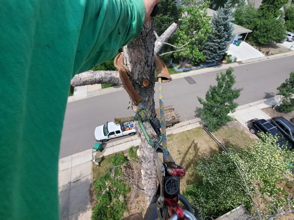 Reliable garden landscaping in Columbus, OH - J-Bear's Tree Care and Landscaping