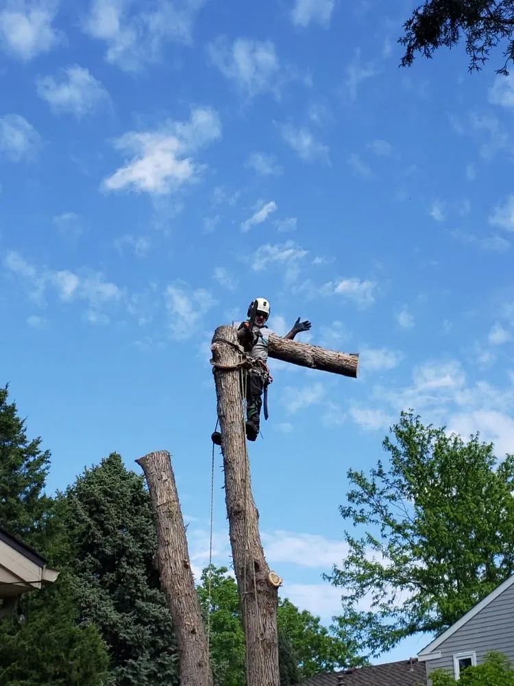 Local yard maintenance in Columbus, OH - J-Bear's Tree Care and Landscaping