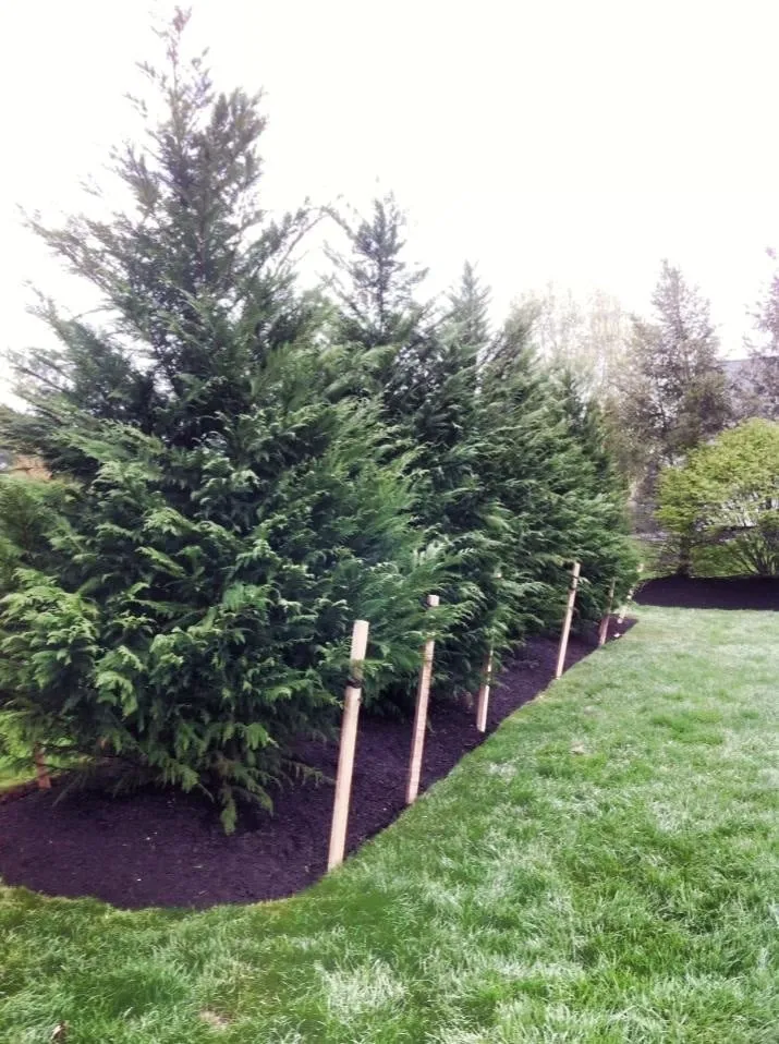 Affordable lawn mowing service in Blue Bell, PA - J Bill Landscaping