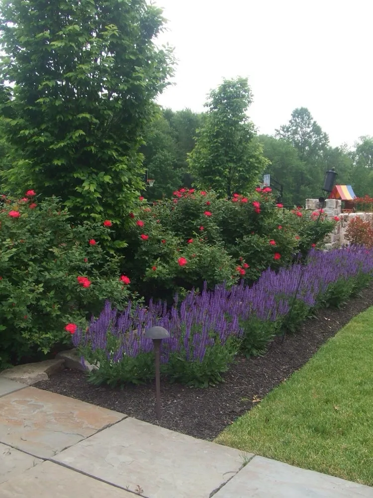 Professional outdoor landscaping experts serving Blue Bell, PA - J Bill Landscaping