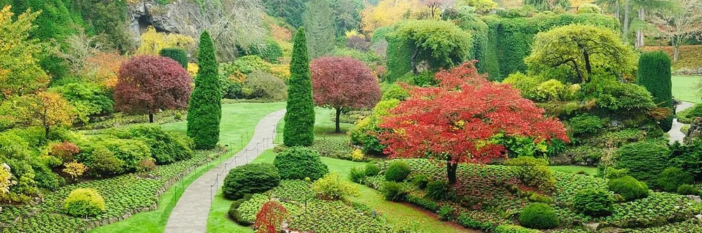 Trusted yard cleanup service for outdoor upgrades in Blue Bell, PA by J Bill Landscaping