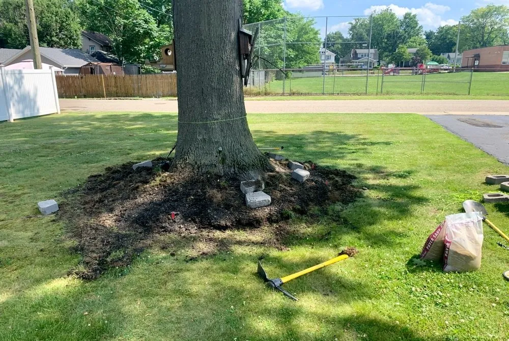 Top-rated lawn mowing service experts serving Navarre, OH - J Boughman Lawns & Landscape