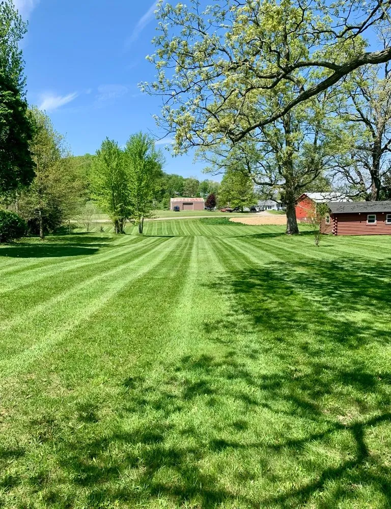 Affordable yard cleanup service near you in Navarre, OH by J Boughman Lawns & Landscape