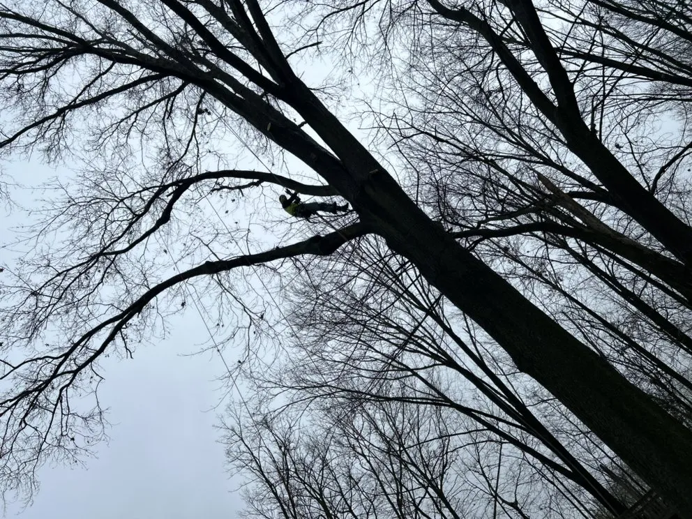Local garden landscaping experts serving Newbury Township, OH - J-Brid Tree and Hardscapes