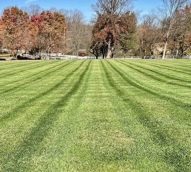 Affordable yard maintenance for homes across Baltimore, MD - J-Brothers Landscaping