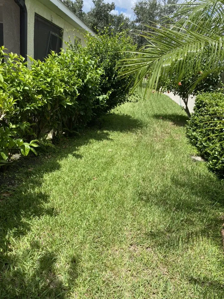 Affordable landscape installation near you in Palmetto, FL by J Brown’s Lawn Service