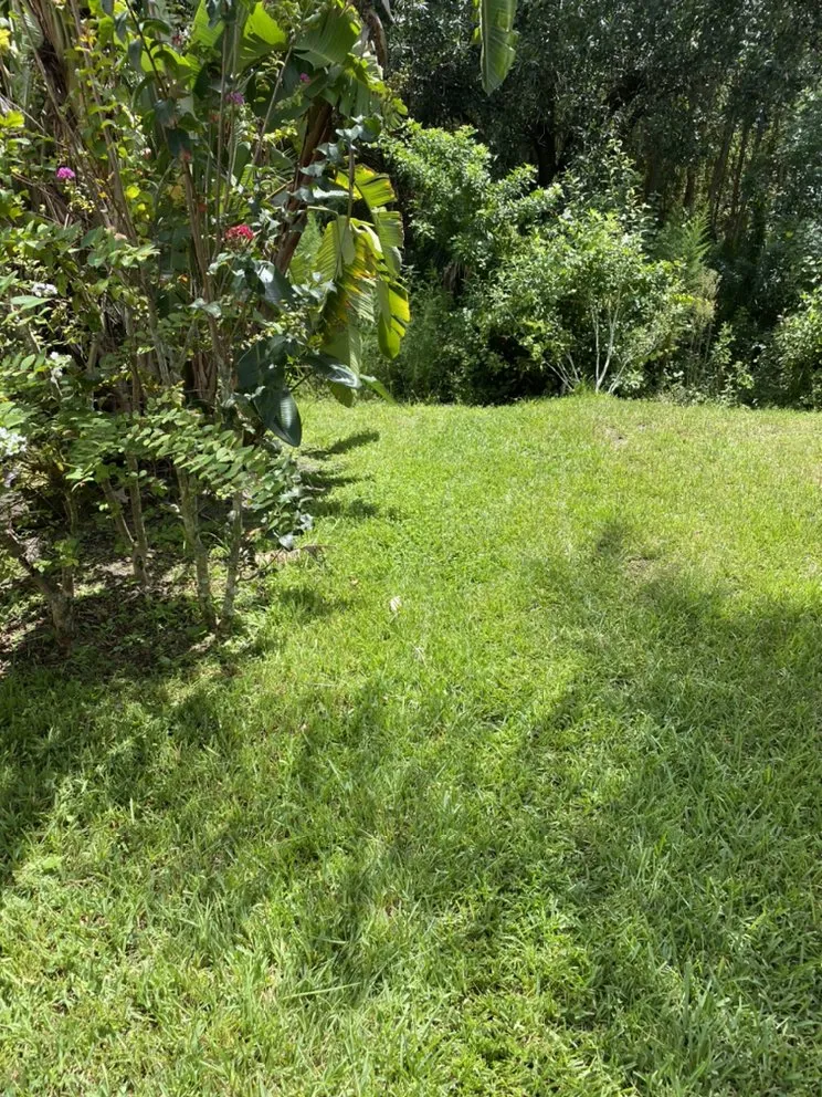 Top-rated lawn mowing service for residential properties across Palmetto, FL - J Brown’s Lawn Service