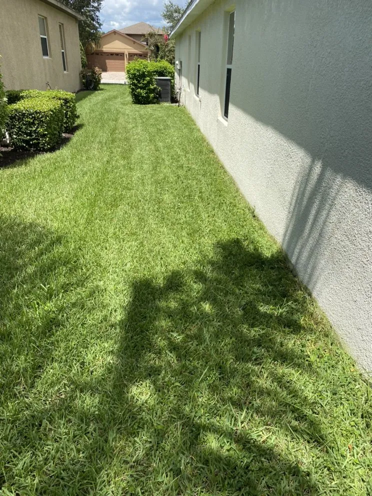 Affordable lawn mowing service in Palmetto, FL by J Brown’s Lawn Service