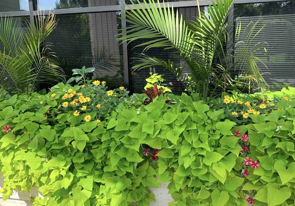 Affordable outdoor landscaping for homes across Frankfort, IL - J. Brtis Landscape Company