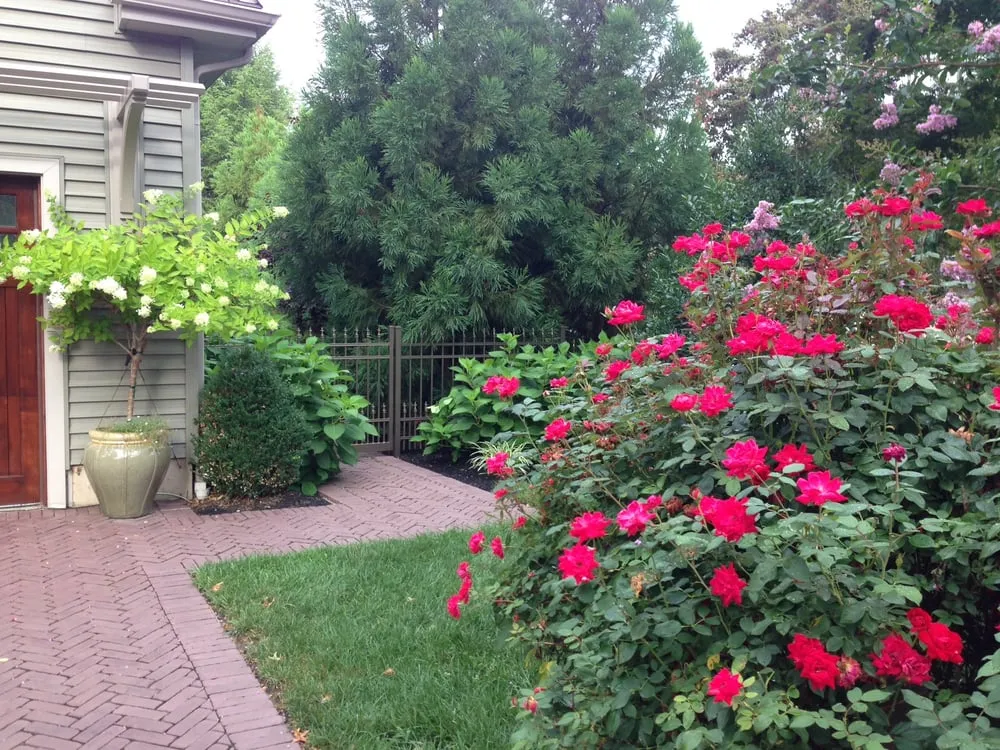 Trusted residential landscaping experts serving Ship Bottom, NJ - J Bucci Landscape & Pavers