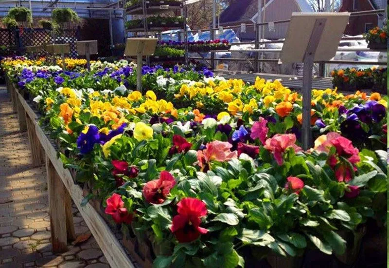 Affordable landscape installation experts serving Vienna, VA - J Byron Landscaping