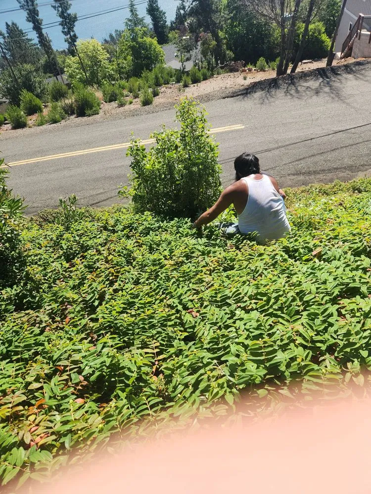 Professional garden landscaping for residential properties in Lakeport, CA by J C & R C Lawn & Yard Maintenance