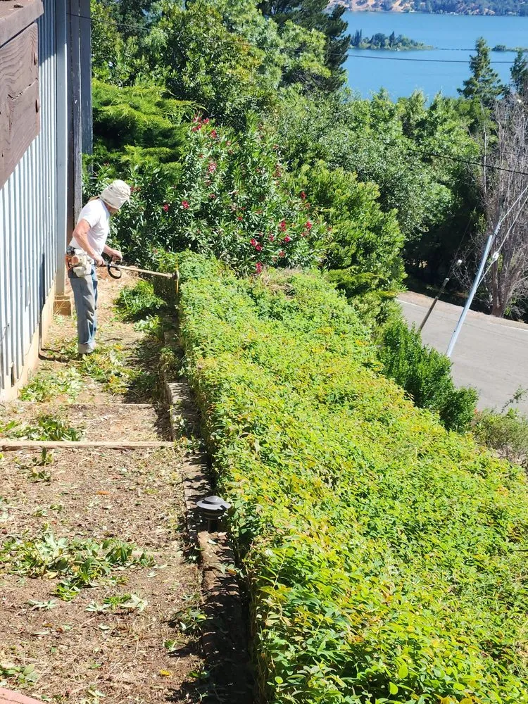 Expert landscaping services for homes across Lakeport, CA - J C & R C Lawn & Yard Maintenance