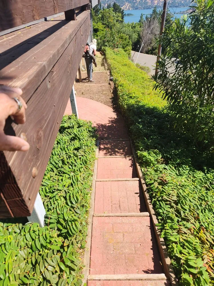 Expert yard maintenance experts serving Lakeport, CA - J C & R C Lawn & Yard Maintenance