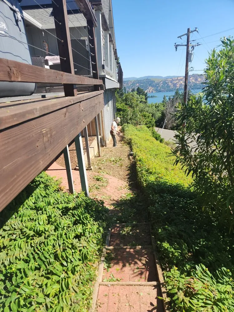 Professional landscape installation in Lakeport, CA by J C & R C Lawn & Yard Maintenance