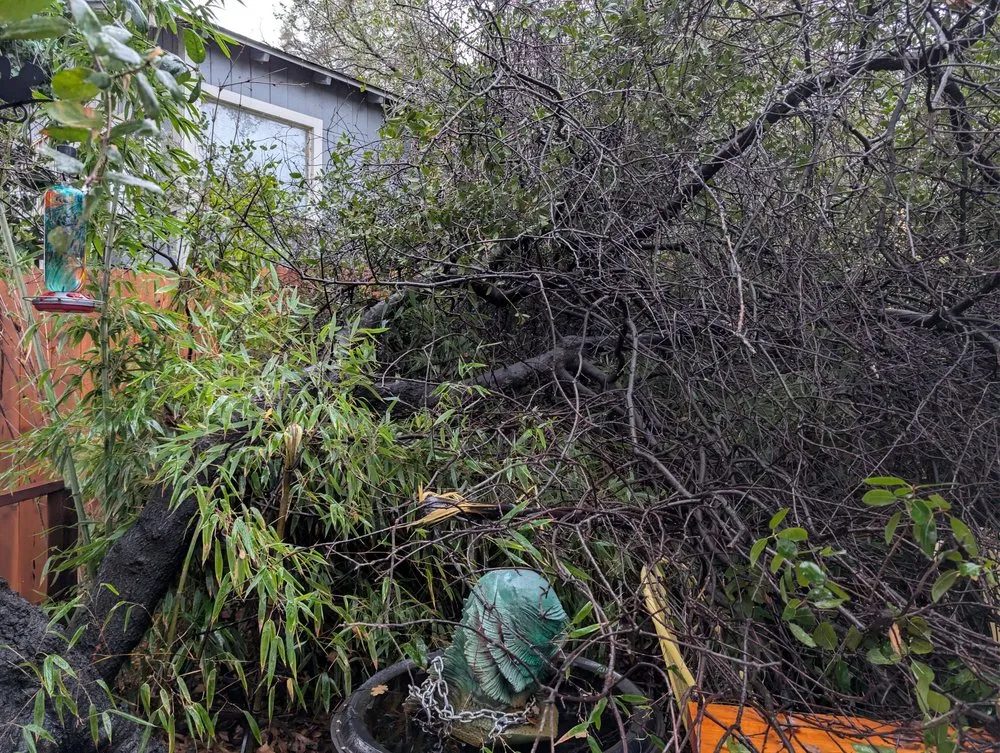 Top-rated outdoor landscaping in Lakeport, CA - J C & R C Lawn & Yard Maintenance