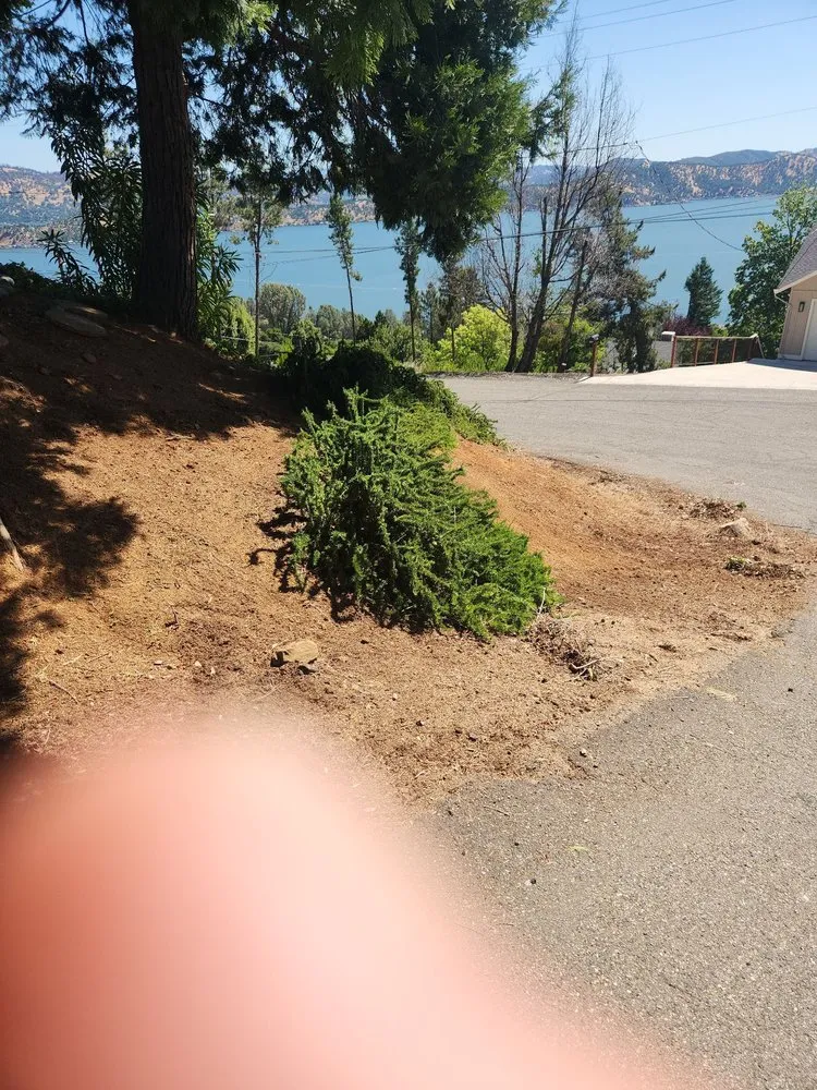 Professional yard maintenance experts serving Lakeport, CA - J C & R C Lawn & Yard Maintenance