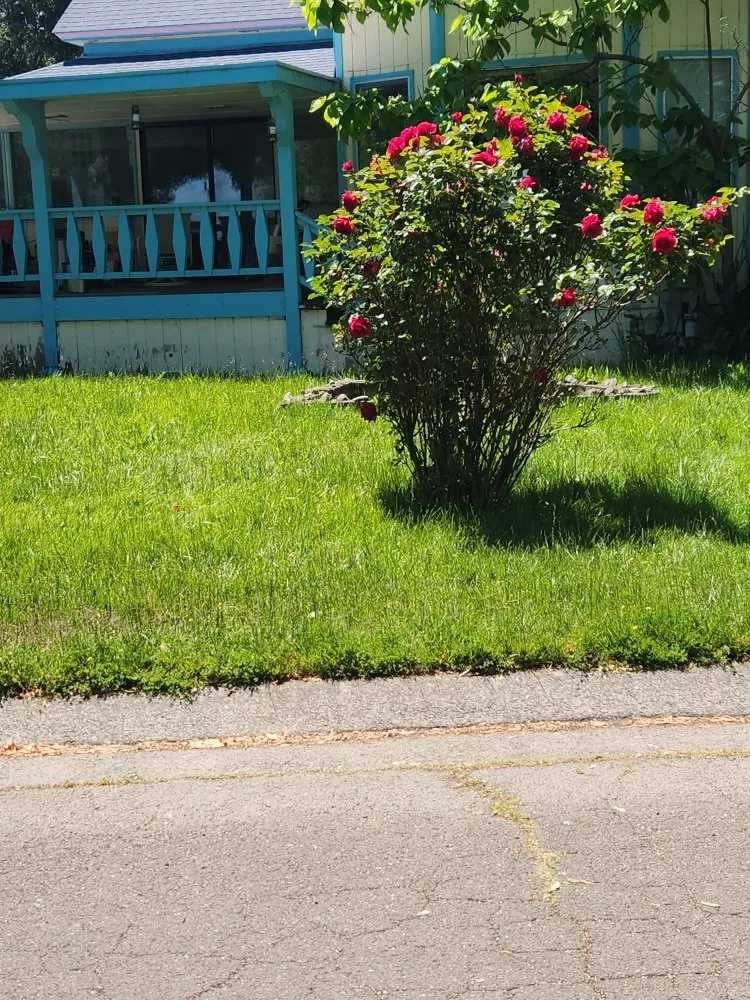 Professional landscape design in Lakeport, CA by J C & R C Lawn & Yard Maintenance