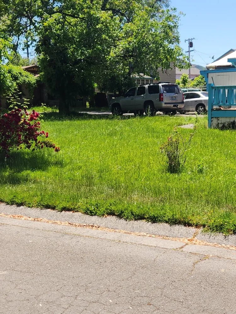 Professional landscaping services in Lakeport, CA by J C & R C Lawn & Yard Maintenance