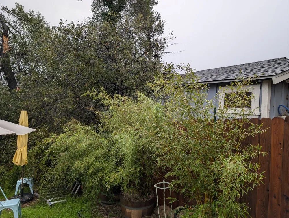 Local landscaping services for beautiful yards in Lakeport, CA by J C & R C Lawn & Yard Maintenance