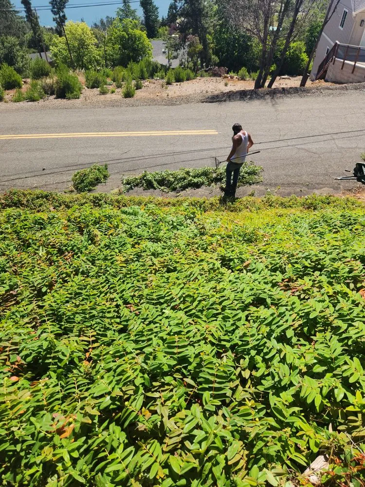 Custom landscaping services experts serving Lakeport, CA - J C & R C Lawn & Yard Maintenance