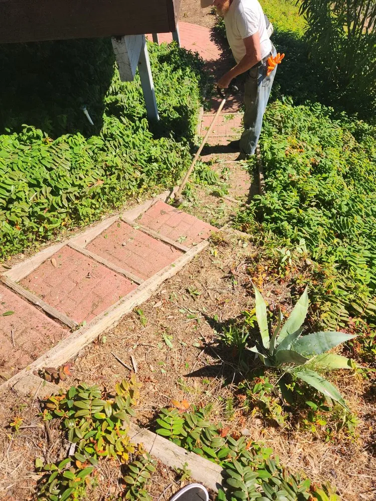 Professional residential landscaping experts serving Lakeport, CA - J C & R C Lawn & Yard Maintenance