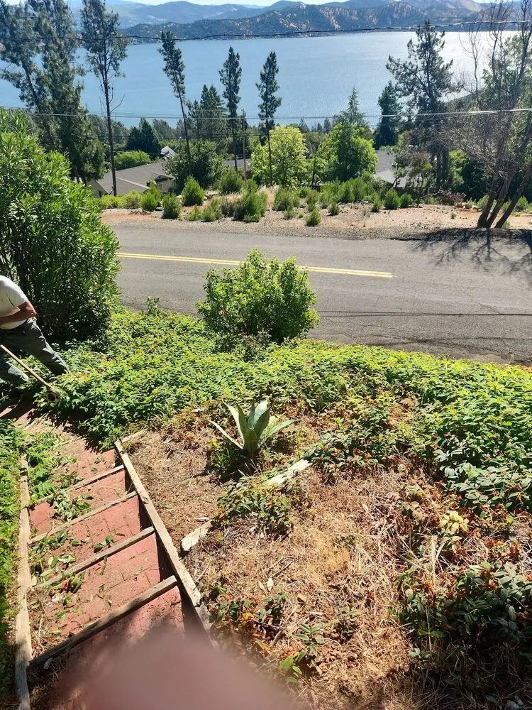 Reliable lawn care service in Lakeport, CA by J C & R C Lawn & Yard Maintenance