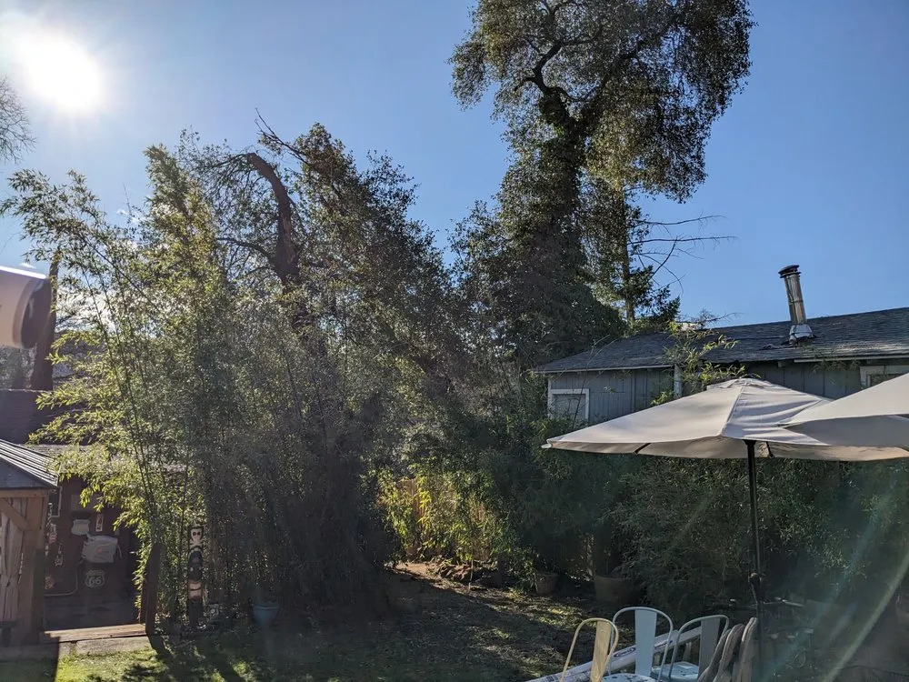 Trusted landscape design for beautiful yards in Lakeport, CA by J C & R C Lawn & Yard Maintenance