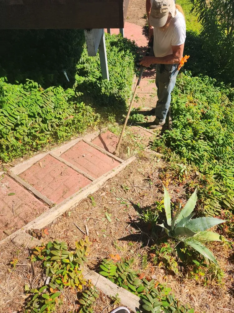 Custom lawn care service for beautiful yards across Lakeport, CA - J C & R C Lawn & Yard Maintenance