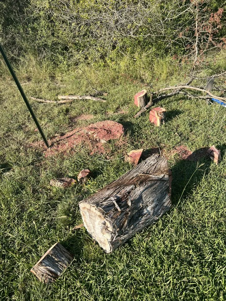 Local residential landscaping experts serving Bryan, TX - J C A S