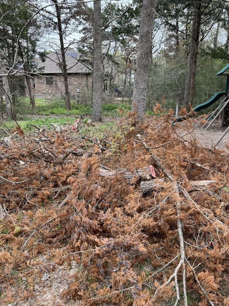 Local residential landscaping with custom design across Bryan, TX - J C A S