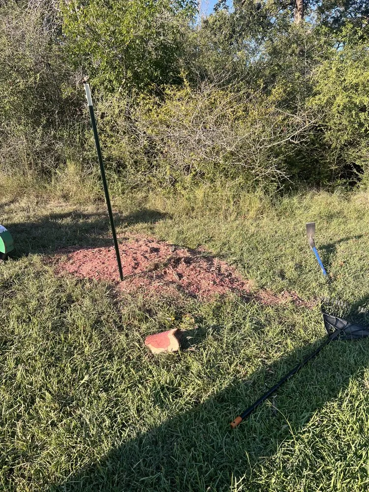 Professional yard cleanup service for year-round maintenance across Bryan, TX - J C A S