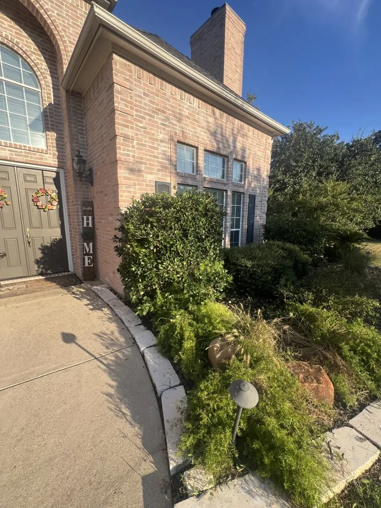 Custom yard cleanup service for beautiful yards in Bryan, TX by J C A S