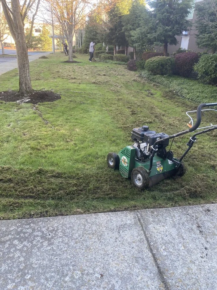 Affordable garden landscaping in Bellevue, WA by J C Landscaping