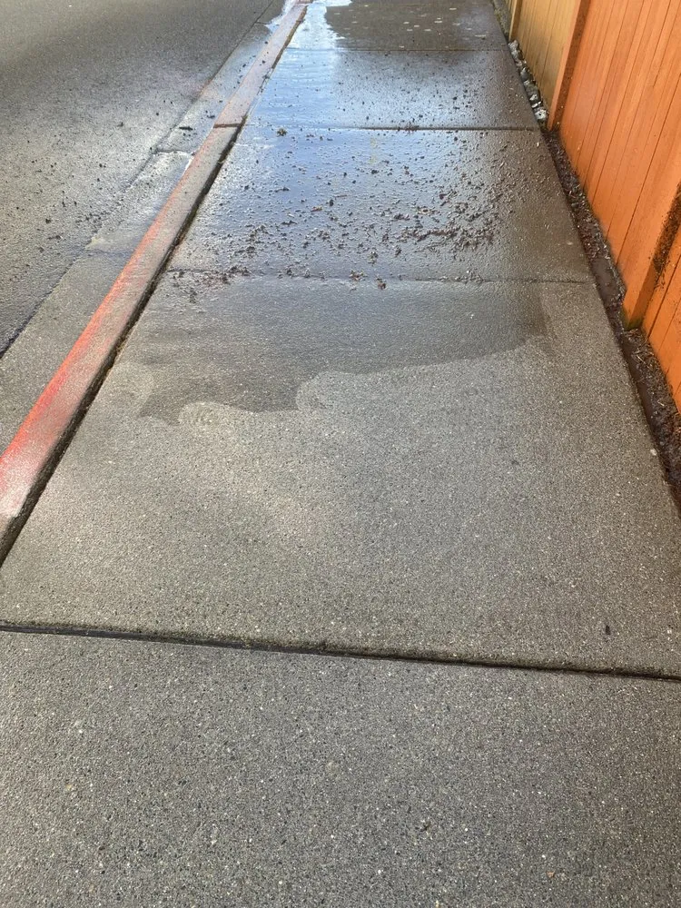 Expert landscaping services experts serving Bellevue, WA - J C Landscaping