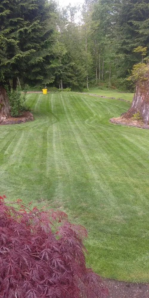 Local outdoor landscaping for beautiful yards across Bellevue, WA - J C Landscaping