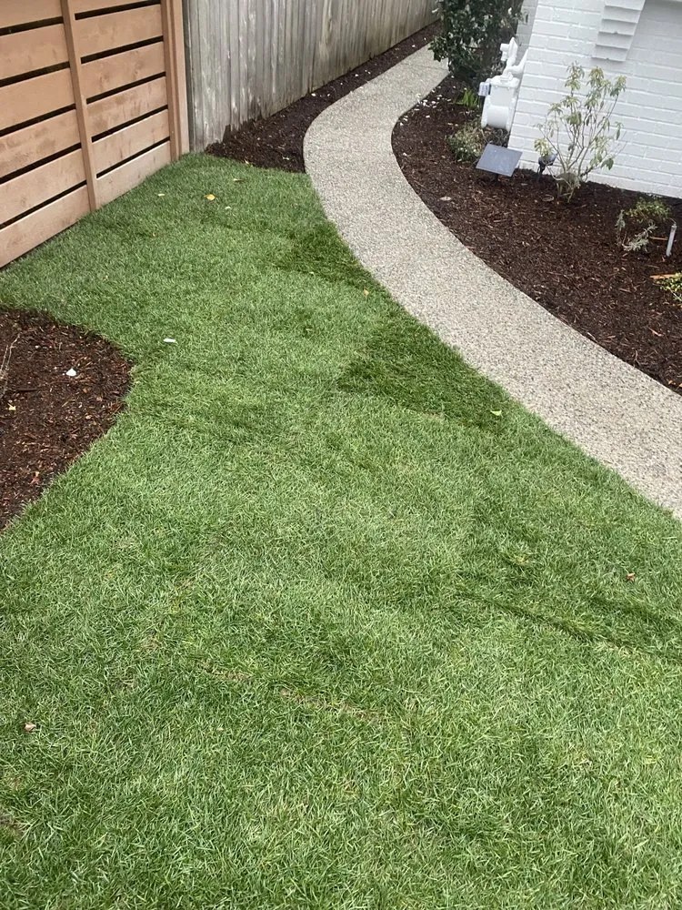 Affordable lawn care service near you across Bellevue, WA - J C Landscaping